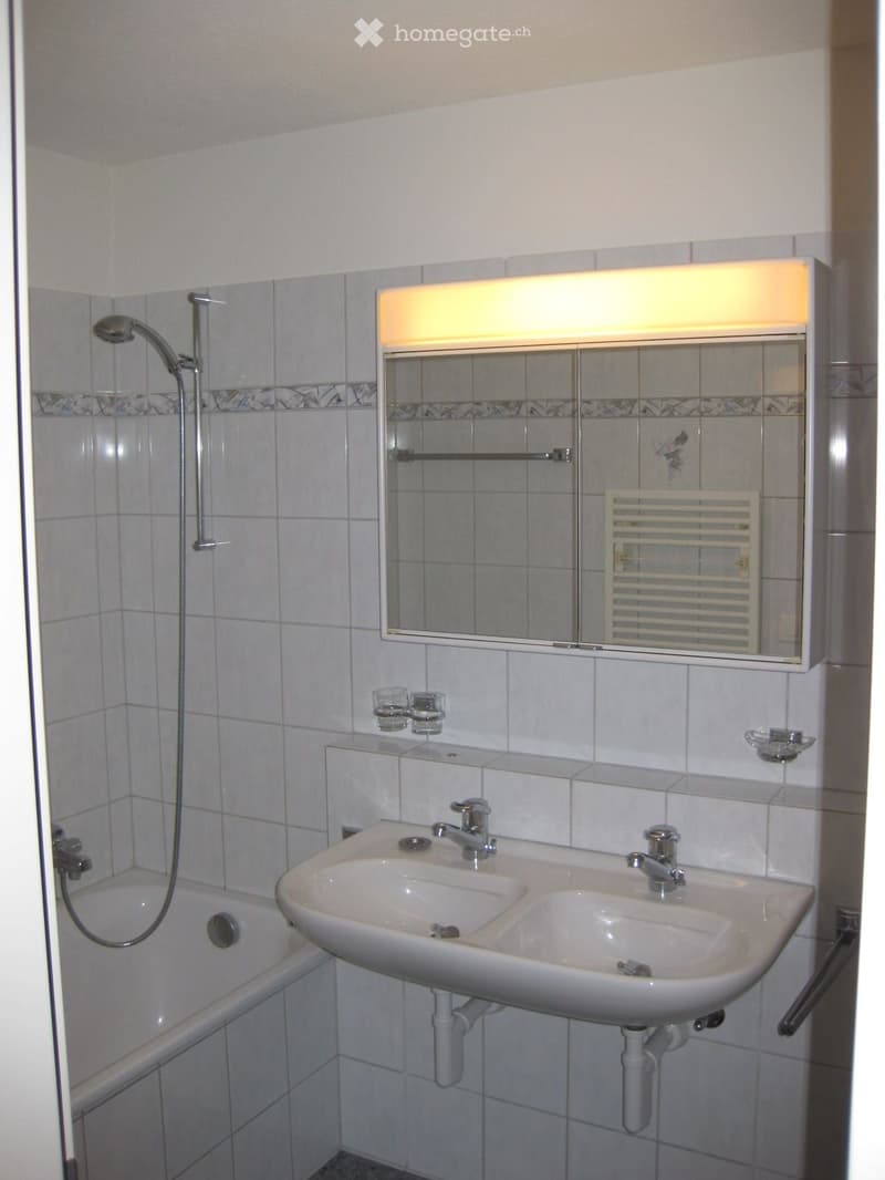 Modern bathroom with a double sink, mirror with built-in lighting, radiator, bathtub, and showerhead.