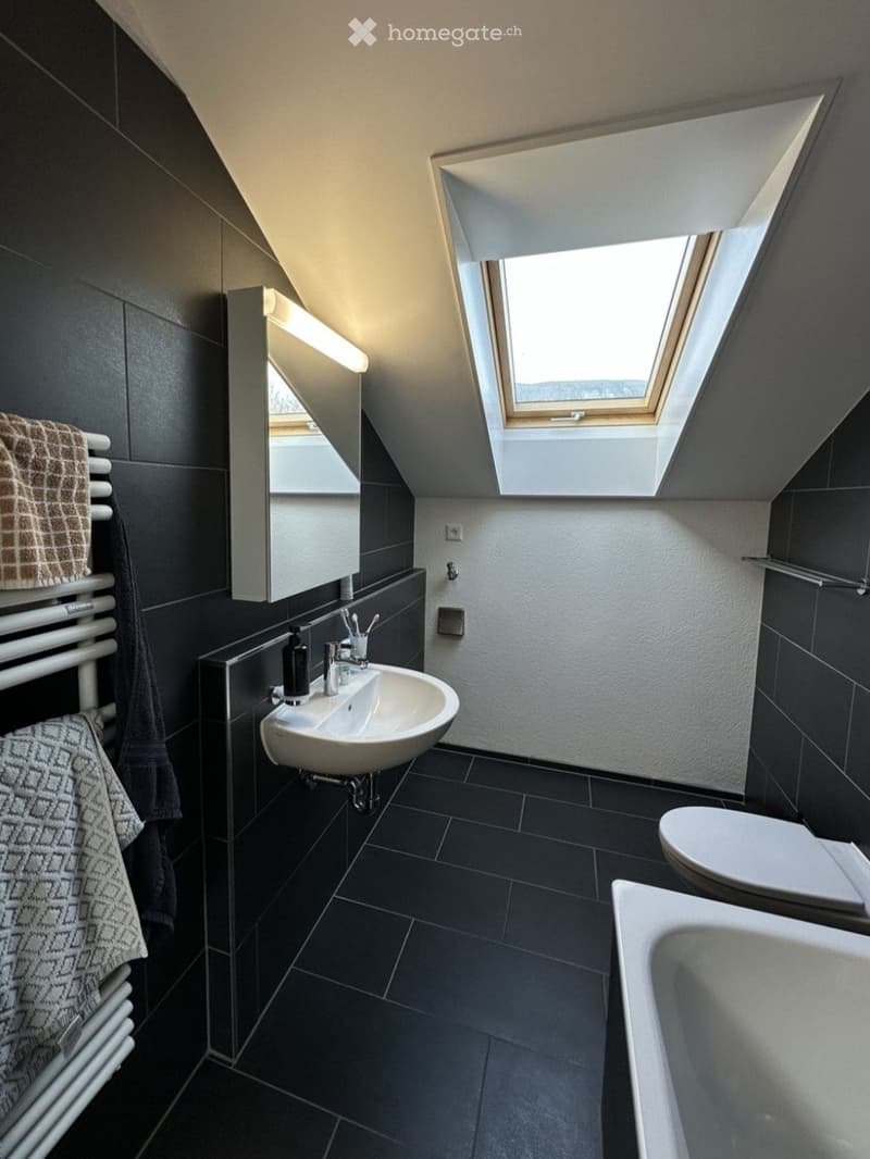 Modern bathroom with dark tiles, a skylight window, a white sink, a toilet, a bathtub, a mirror, and a towel rack.