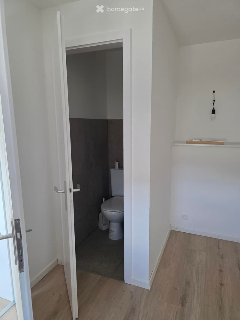 A narrow hallway with light wooden flooring and white walls, leading to a small bathroom with a toilet and dark tiled floor.