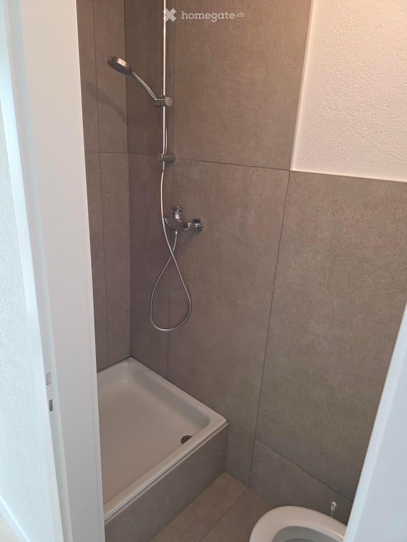 Modern bathroom with a corner bathtub, a toilet, a handheld showerhead, and a faucet.