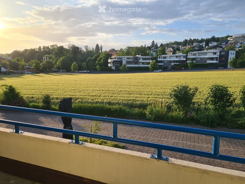 Balcony overlooking a large open field with scattered trees and distant residential buildings.