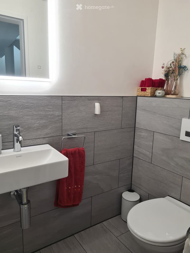 Modern bathroom with grey tiled walls, white sink, chrome faucet, toilet, red towel, mirror, and decorative vase with flowers on the counter.