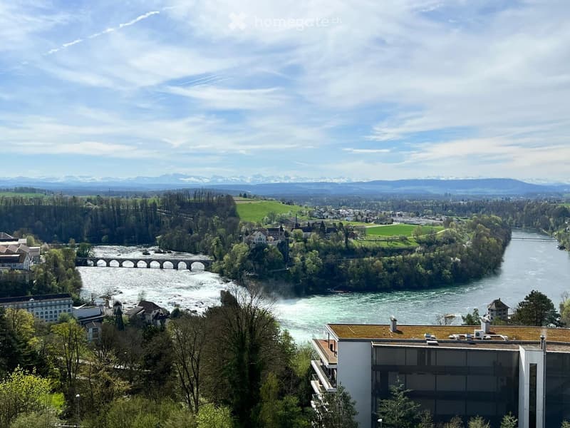 A scenic view of a town with a river flowing through it, featuring a bridge, buildings, and surrounding greenery with mountains in the background.