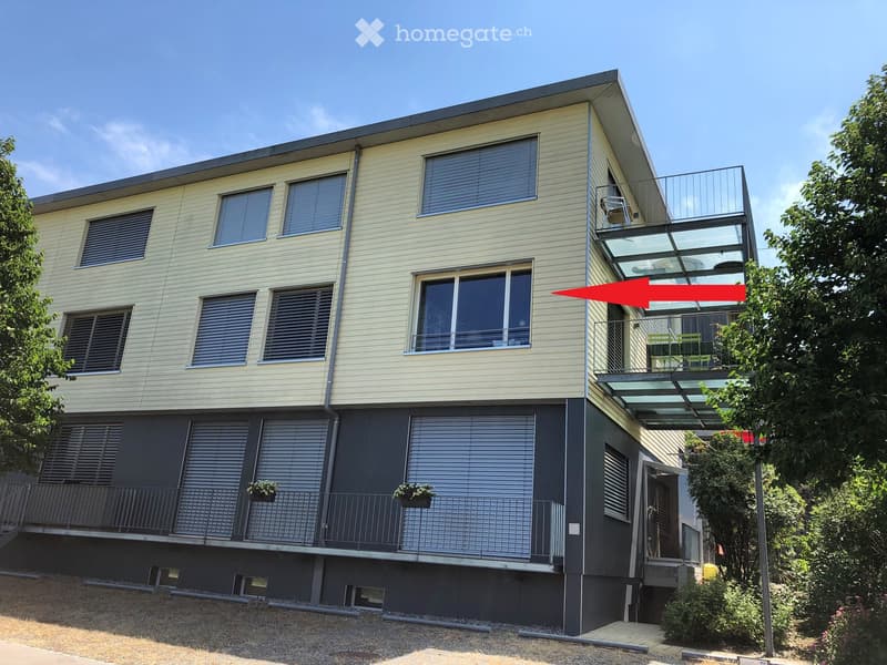 2 story house, glass windows, gray and yellow facade, metal railings, balcony, potted plants