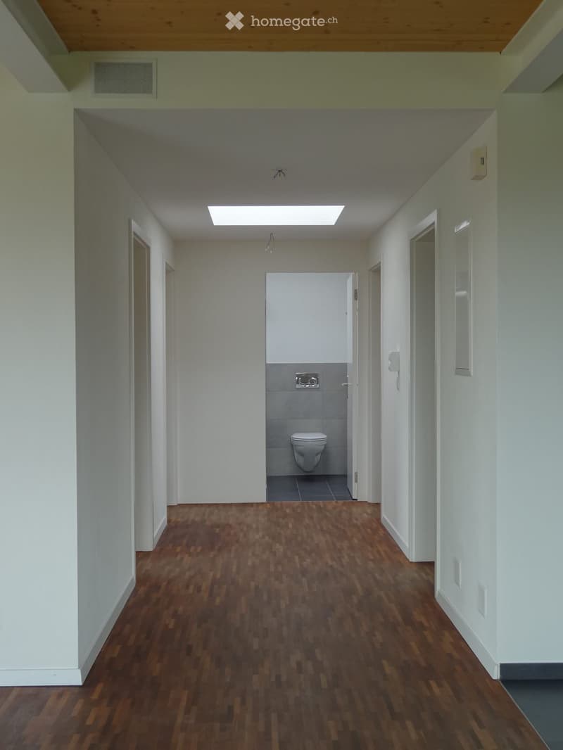 wide corridor, wooden floor, white walls, entrance to bathroom, skylight