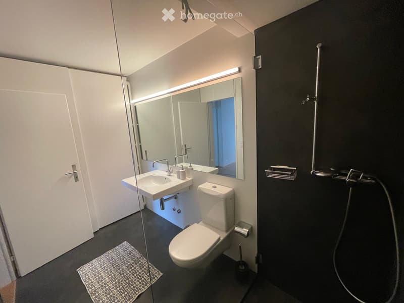 Modern bathroom with white sink, toilet, large mirror, and shower hose. Features dark walls and a patterned rug on the floor.
