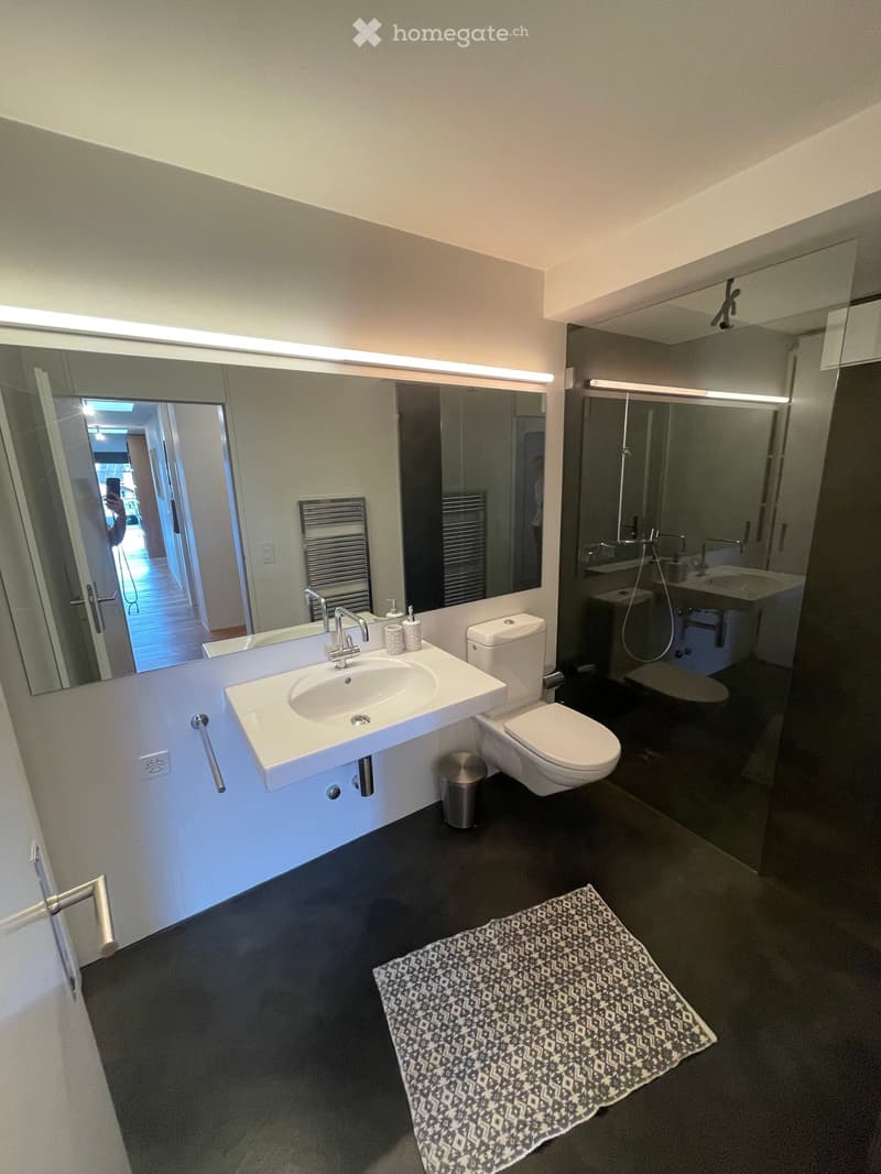 Modern bathroom with a white sink, chrome faucet, toilet, large mirror, towel rack, and a patterned rug on the floor.