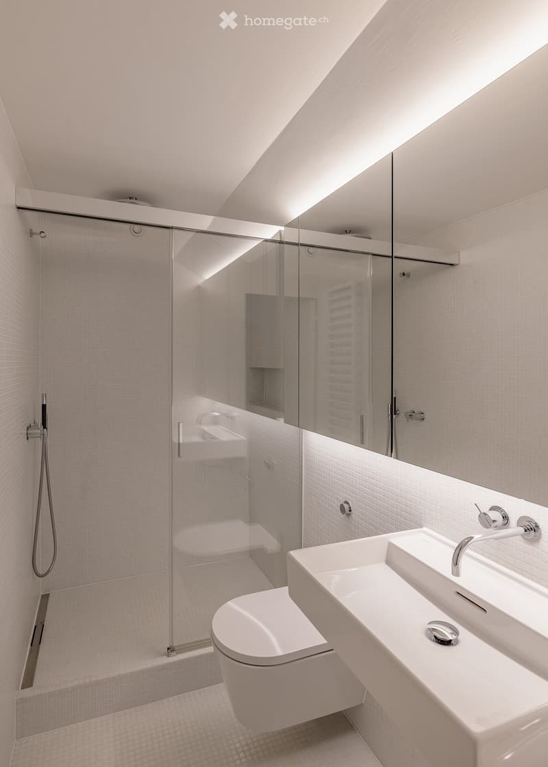 Duplex-/Maisonette-Wohnung in Zürich (8)