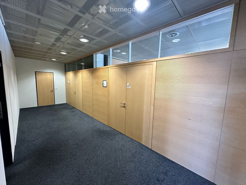 Empty office room with wooden doors, carpeted floor, white walls, ceiling with lights and glass windows