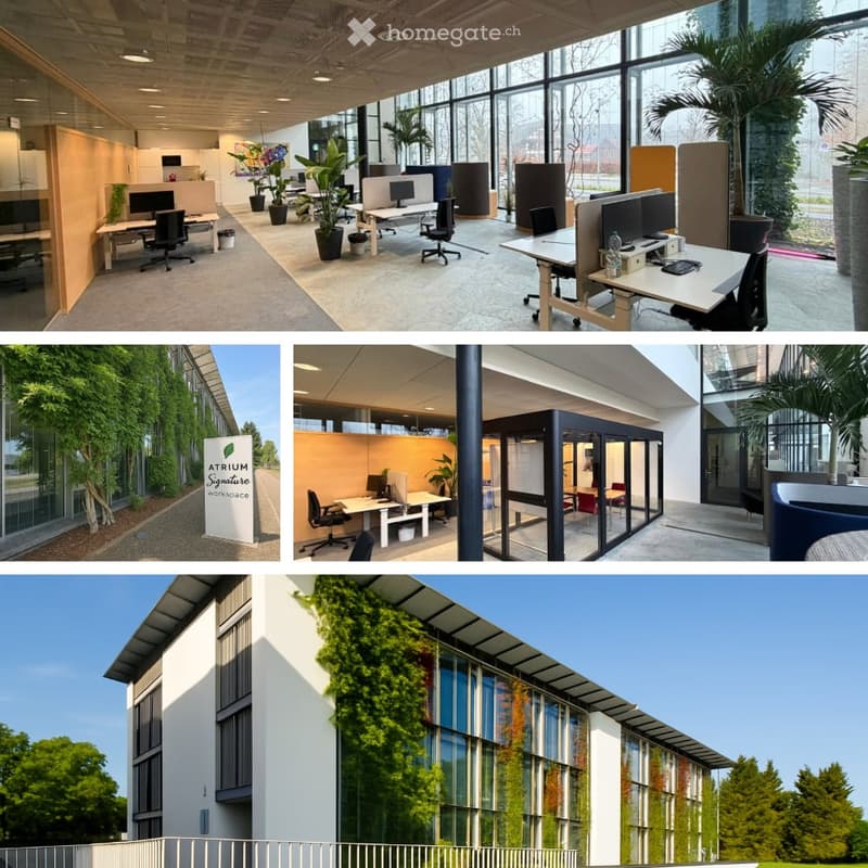 modern open plan office with plants, meeting rooms and desks, entrance with climbing plants, bright with large windows