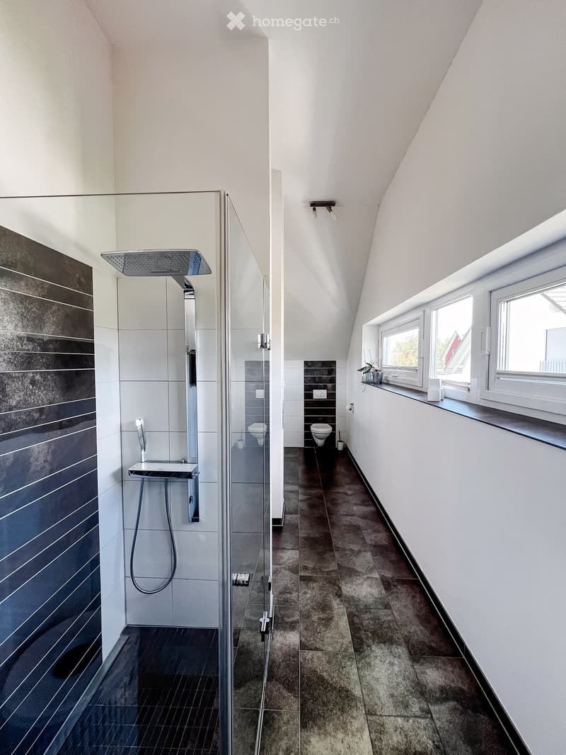 Modern bathroom with a glass-enclosed shower, a sink, and a toilet. The space features dark tiles in the shower area and light tiles in the rest of the bathroom, with large windows providing natural light.
