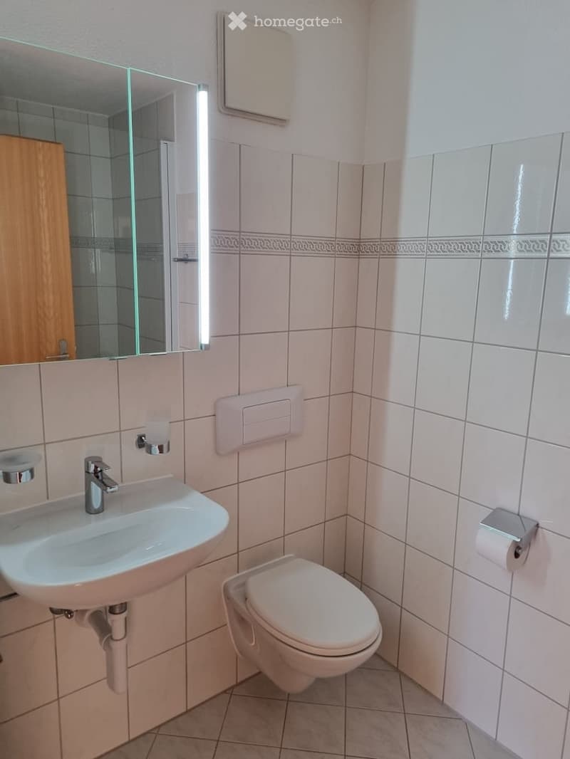 Clean, modern bathroom with white tiles, a sink, a toilet, a mirror, and a wooden cabinet.