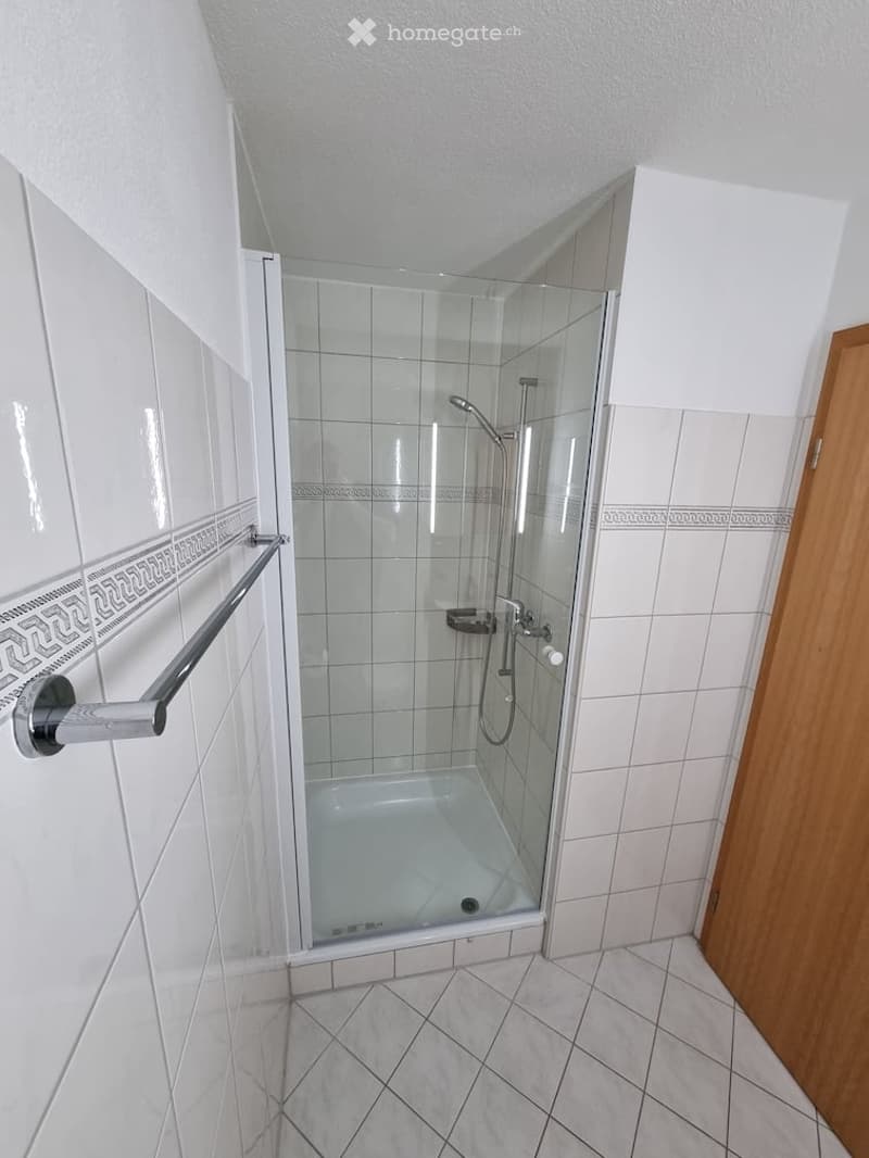 Modern bathroom with a glass-enclosed shower stall, white tiled walls and floor, and a handrail for support.
