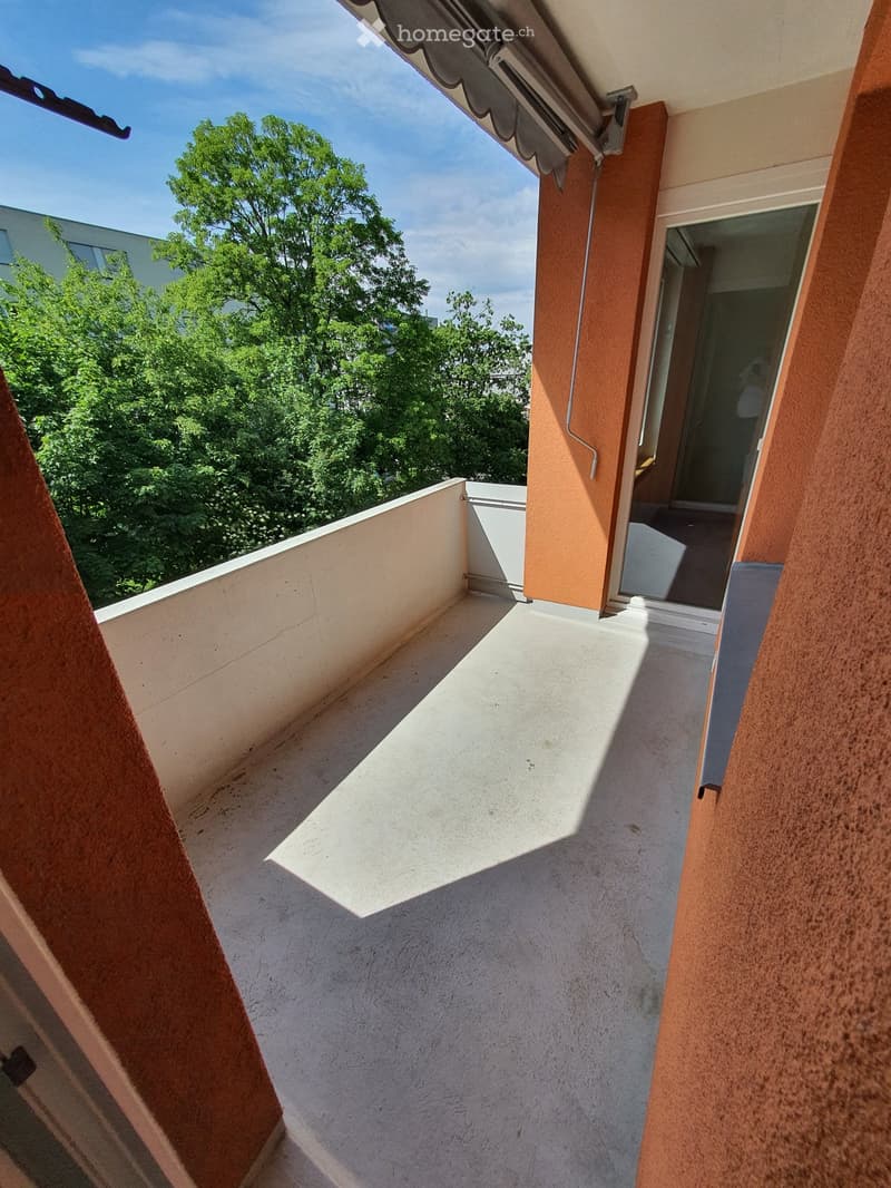 Balcony with concrete floor, orange-colored walls, and a retractable awning. The view includes green trees and a clear blue sky.