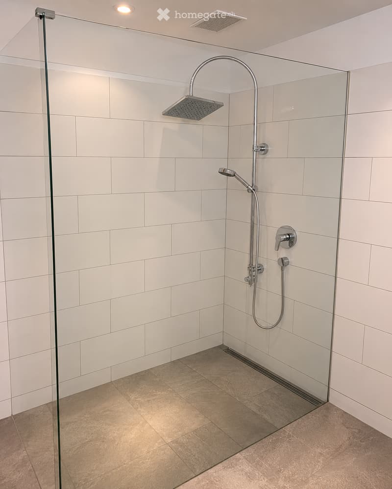Modern shower area with white tiled walls, glass enclosure, and a rainfall showerhead with handheld sprayer.