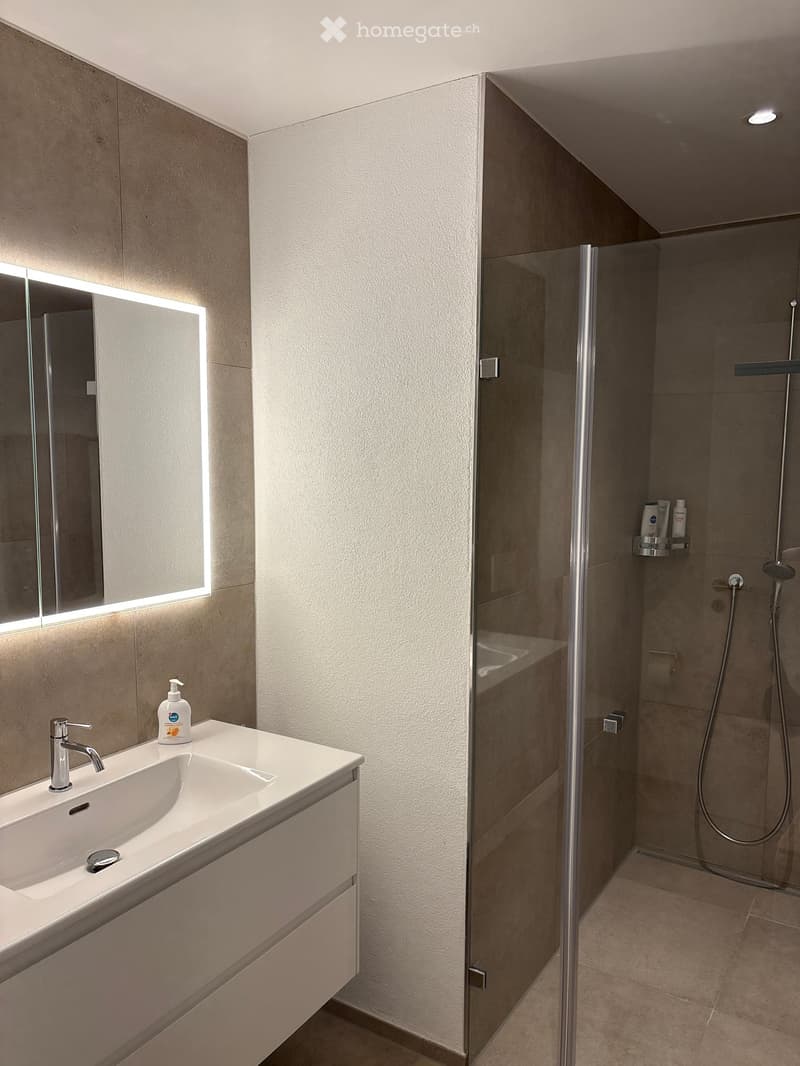 Modern bathroom with a white sink, chrome faucet, illuminated mirror, and a glass-enclosed shower with a built-in shelf holding toiletries.
