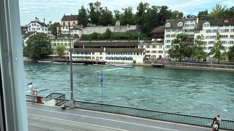 View from a balcony overlooking a river with boats, buildings, and trees in the background.