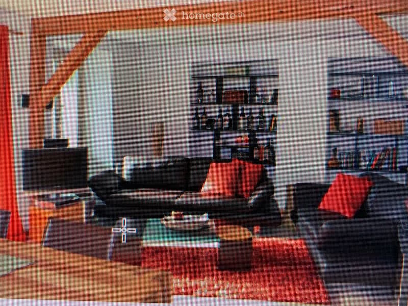 Living room with a dark-colored sofa, red throw pillows, a coffee table, and a bookshelf with decorative items.