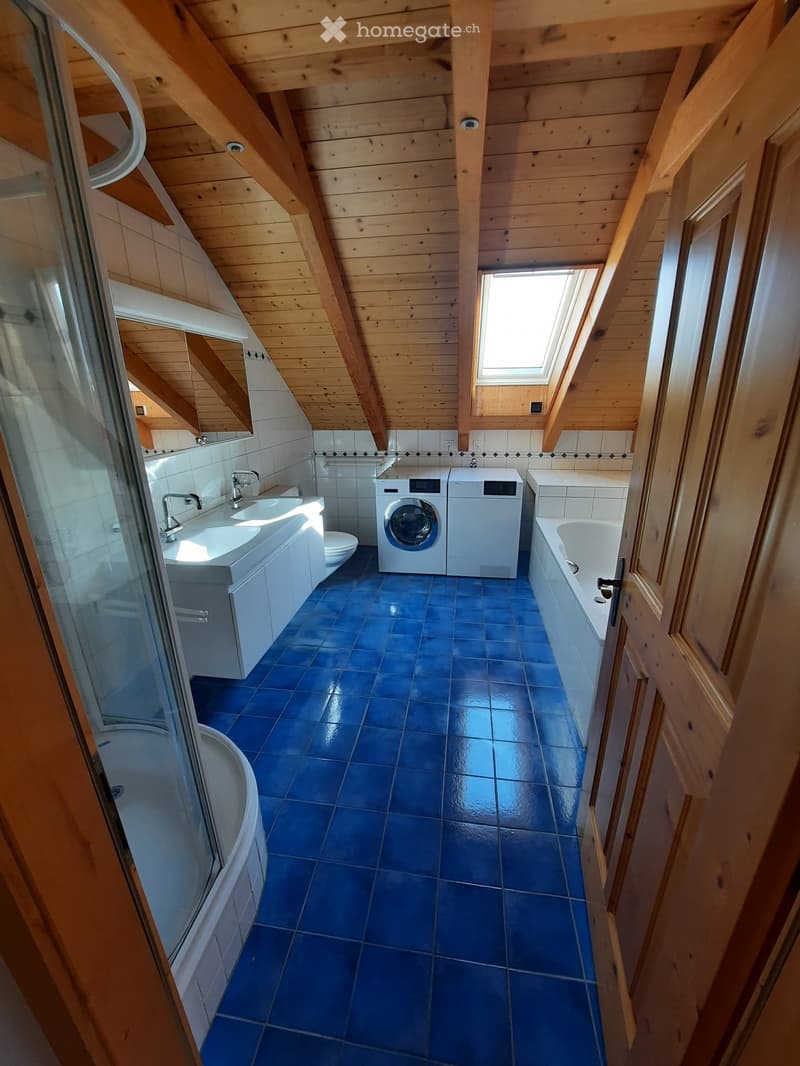 Schöne 3.5 Zimmer Wohnung mit grosser Dachterrasse und Galerie in Rottenschwil (7)