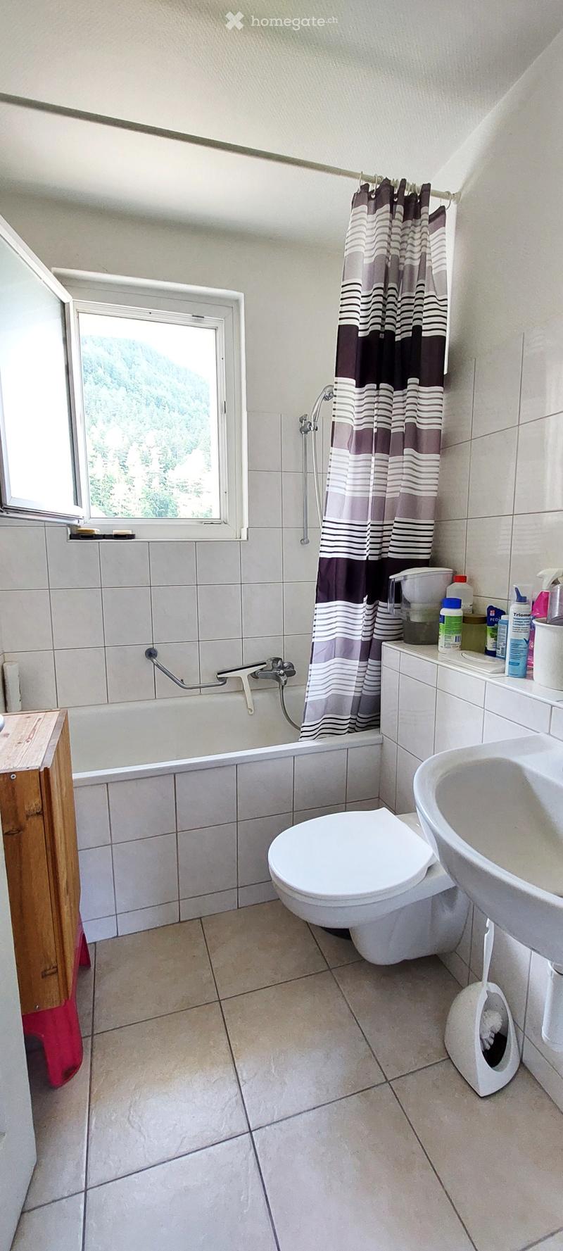 Bathroom with a bathtub, toilet, sink, and shower curtain. Includes a window with a view, a handrail, and various toiletries on the sink counter.