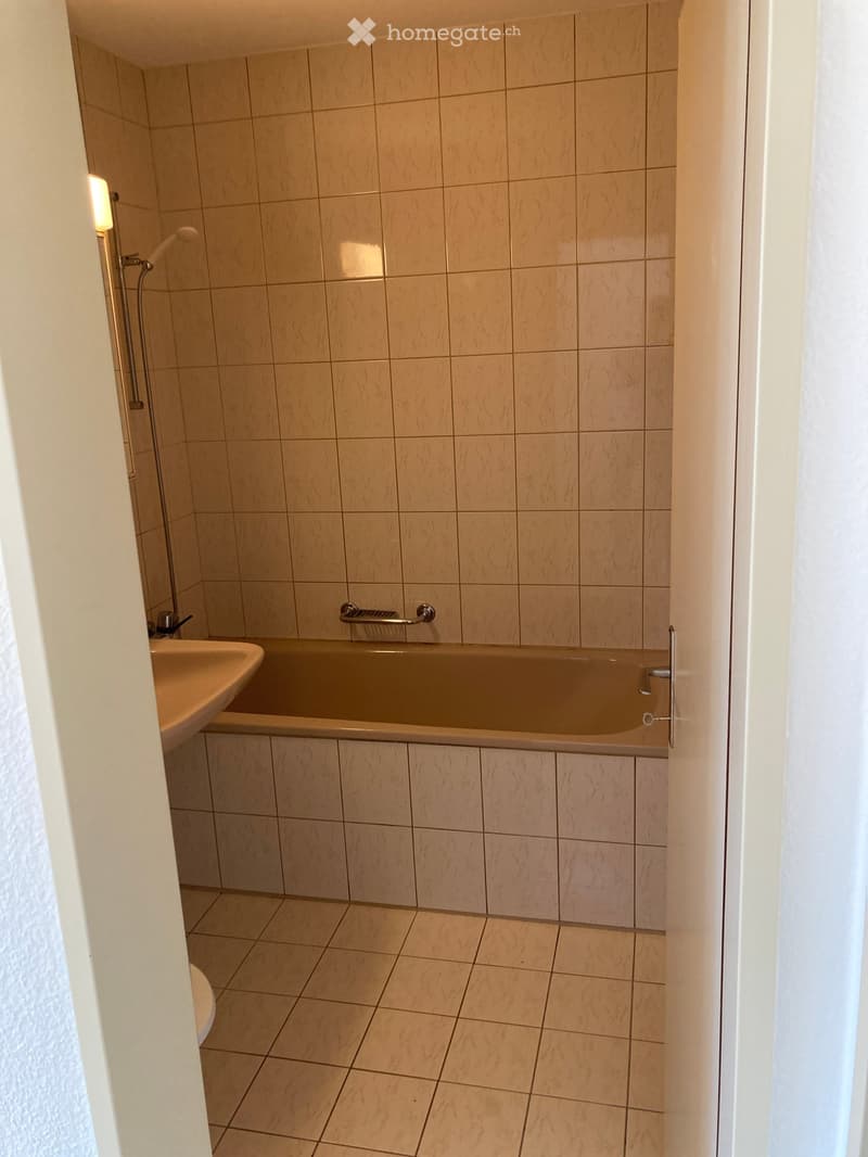Praktische Wohnung in ruhigem MFH (6)