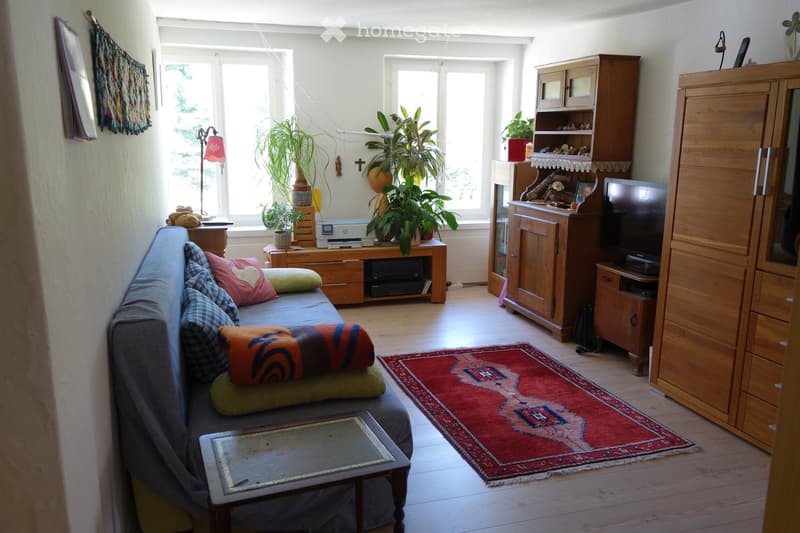 A cozy living room with a grey sofa, colorful cushions, a coffee table, a television, wooden cabinets, and several potted plants. The room features a red patterned rug and large windows letting in natural light.