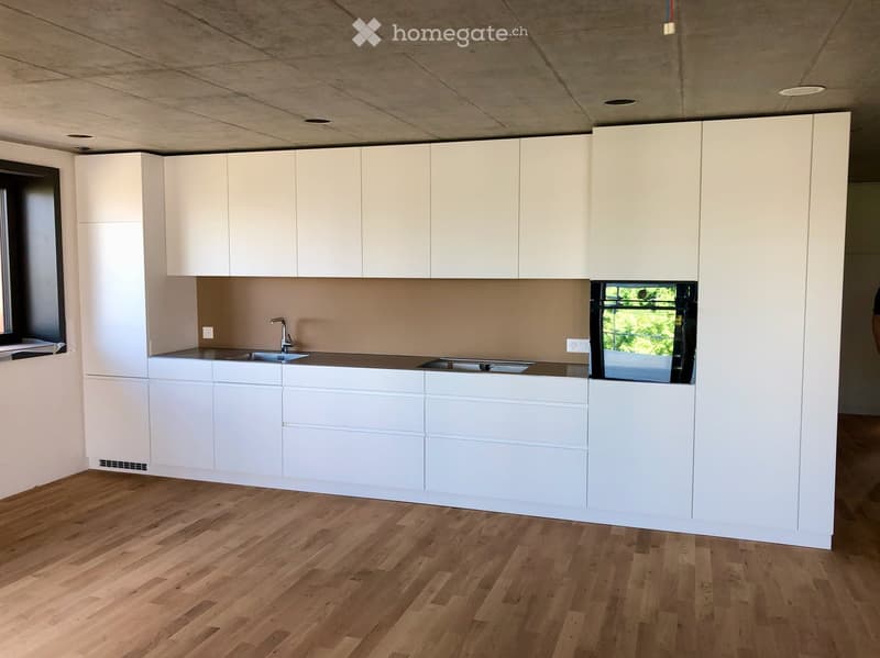 modern kitchen with white cabinets, wooden floor, two sinks, faucet, built-in oven, window