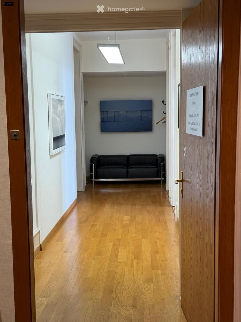 A modern hallway with light wooden flooring, white walls, and a black leather sofa visible in an adjacent room. The hallway features a square light fixture on the ceiling and a framed artwork on the left wall.