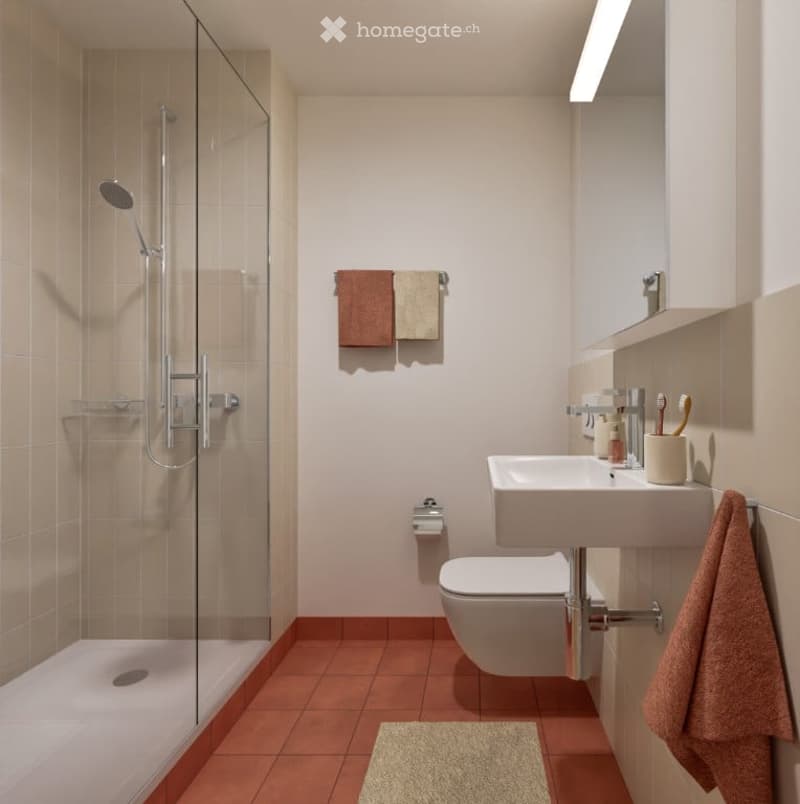 Modern bathroom with a glass-enclosed shower, a toilet, a sink with a mirror, and neatly arranged towels and toiletries.