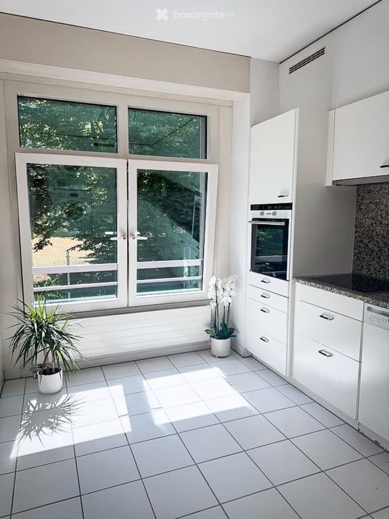 Modern kitchen with white cabinets, tiled floor, large windows, and a potted plant on the floor.