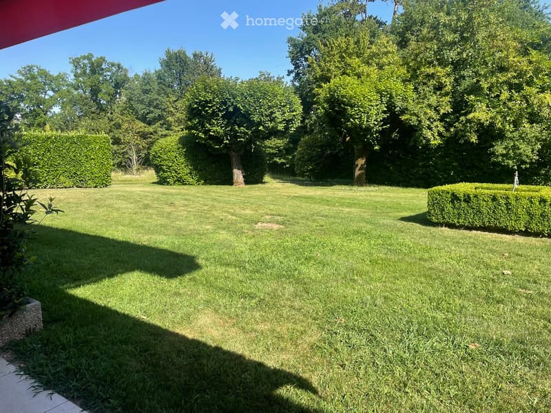 Well-maintained lawn with trimmed hedges, trees, and a clear blue sky in the background.