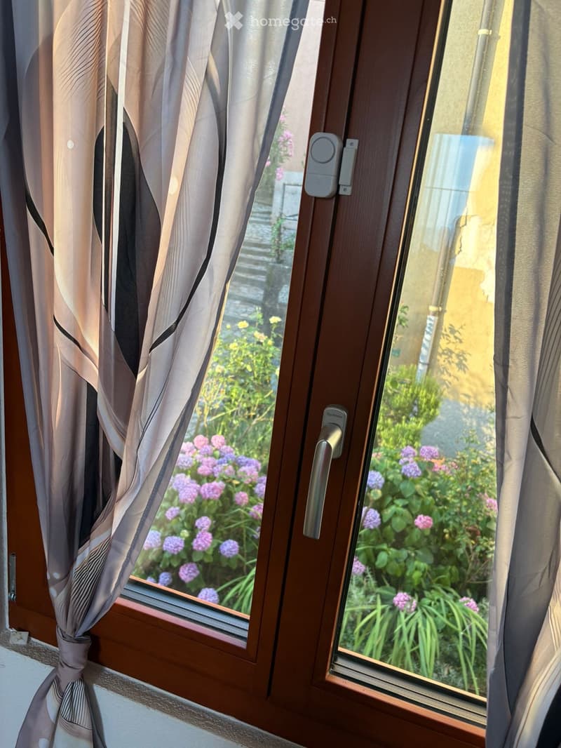 Window with wooden frame and curtains, overlooking a garden with flowers and greenery.