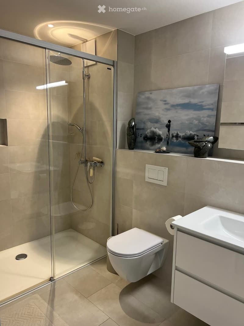 Modern bathroom with a glass-enclosed shower, toilet, sink, and decorative items on the counter.
