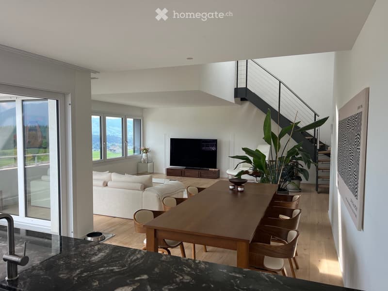 Modern living room with a large window, white sofa, wooden dining table, chairs, television, and decorative plants.