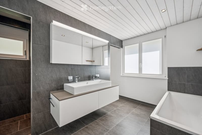 Modern bathroom with a white sink, two faucets, a bathtub, a large mirrored cabinet, and large windows providing natural light.
