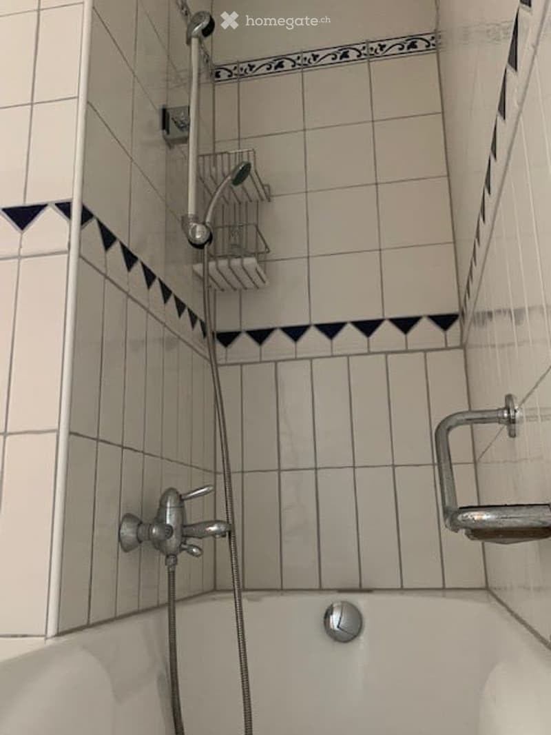 Bathtub with a modern showerhead and a handheld shower attachment, along with a shower basket for toiletries. The walls are tiled with a decorative border pattern.