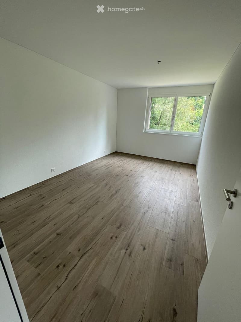 Empty room with light green walls and wooden flooring, featuring a large window with white frames and a door handle visible on the right side.