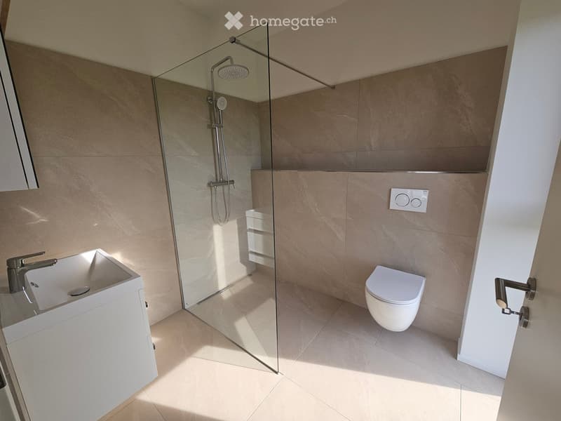 Modern bathroom with a white sink, chrome faucet, toilet, and a glass-enclosed shower with a handheld showerhead.
