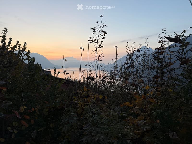 A lush garden area with dense foliage and plants, overlooking a serene lake and distant mountains during sunset.