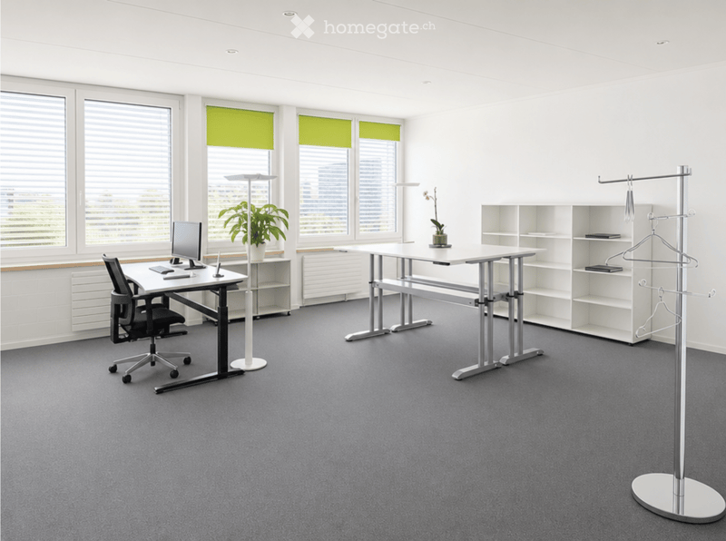 Modern office space with grey carpet, white walls, large windows with green blinds, two desks with chairs, a coat rack, and shelves.
