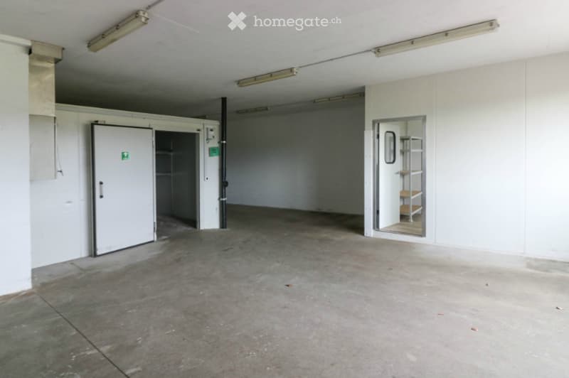 Empty room with concrete floor, white walls, and fluorescent lighting. Features include a large open space, a small closet, and a partially open door leading to another area.