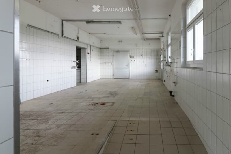 Empty room with white tiled walls and floor, visible pipes and a door, no furniture or equipment.
