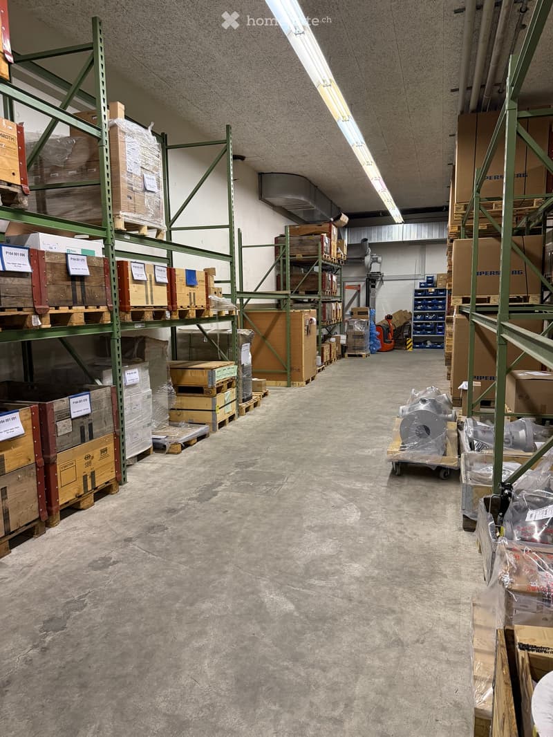 Warehouse with metal shelving units filled with boxes and pallets, concrete floor, and industrial lighting.