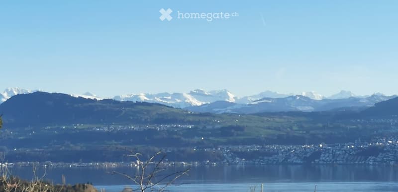 Panoramic view of a cityscape with a lake in the foreground and snow-capped mountains in the background.
