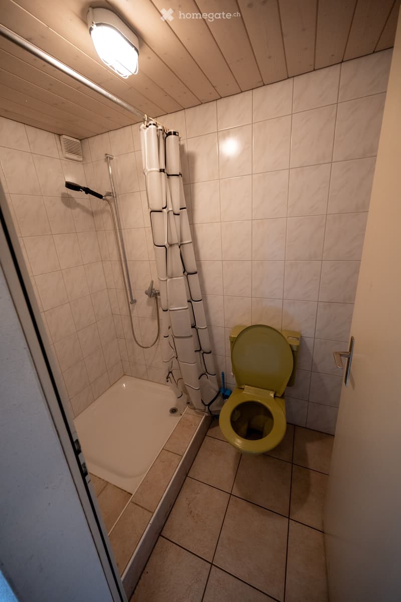 small shower, toilet, white tiles, wooden ceiling, light