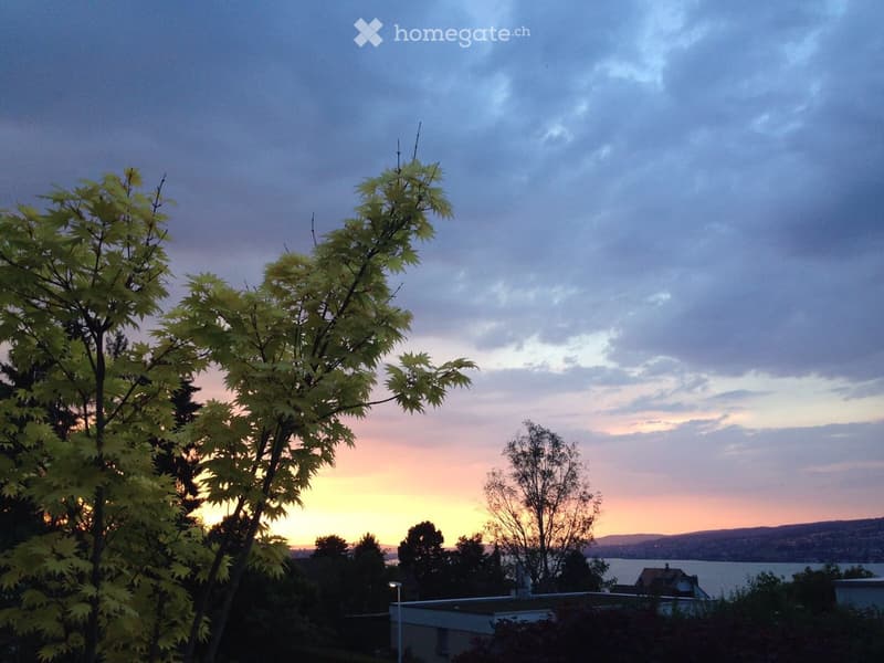 View of a garden area with trees, a sunset sky, and distant water body.