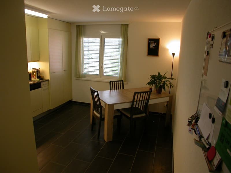 A well-lit dining area with a wooden table, four chairs, a potted plant, and a small kitchen area with cabinets and a counter.
