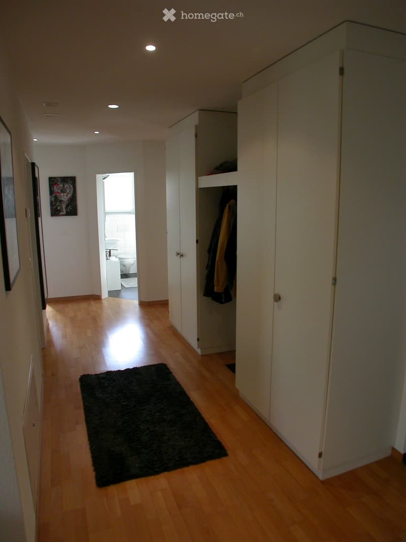 A well-lit hallway with wooden flooring, white walls, and recessed ceiling lights. A black rug is placed on the floor, and a closet with open doors reveals hanging coats. A painting is visible on the left wall, and an open doorway leads to a bathroom with
