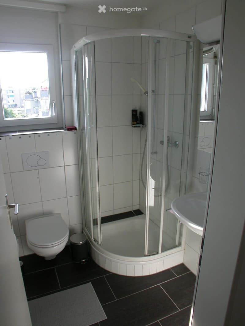 Modern bathroom with white tiles, a corner shower with glass enclosure, a toilet, a sink, and a mirror. The floor is dark tiled, and there is a small trash can near the toilet.