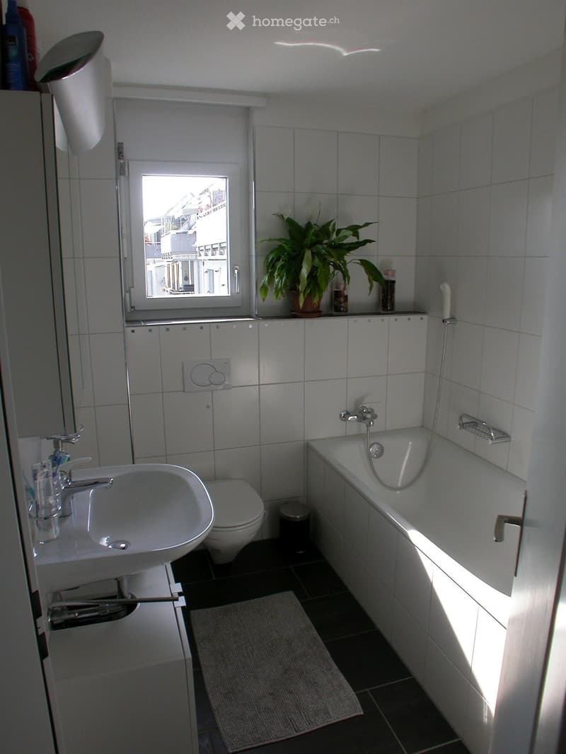 Modern bathroom with white tiles, a sink, toilet, bathtub, and a window with a view of the city. Includes a small plant on the windowsill and a rug on the floor.